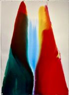 Opera Phenomena Aquarius  di PAUL JENKINS